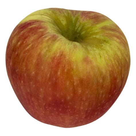 Save on Apples Honeycrisp Order Online Delivery | Stop & Shop