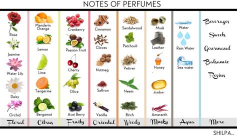 The Perfect Guide To Perfume Notes And How To Choose 'em!