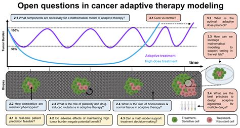 Published A Survey Of Open Questions In Adaptive Therapy Jeffrey West