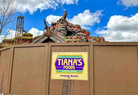 Tiana Signs Crop Up Around Splash Mountain - MickeyBlog.com