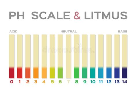 Scala Di Ph Grafico A Colori Della Cartina Al Tornasole Illustrazione