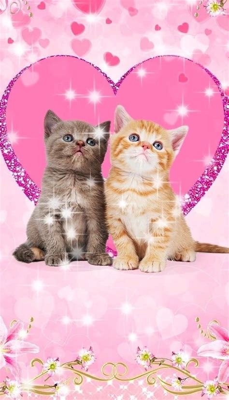 Two Kittens Sitting Next To Each Other In Front Of A Pink Heart With Stars