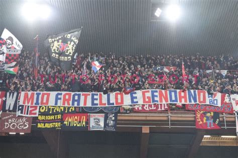 Genoa Cosenza Lupi Senza Mordente Crollano Nella Ripresa