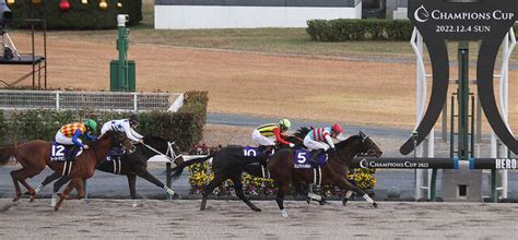 【チャンピオンズc】ノーザンファーム吉田勝己代表「ダートも芝もいける」二刀流に期待 ライブドアニュース