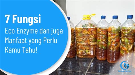 7 Fungsi Eco Enzyme Dan Juga Manfaat Yang Perlu Kamu Tahu