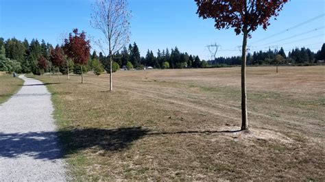 Uplands Off Leash Dog Park Langley Bc The Dog Network