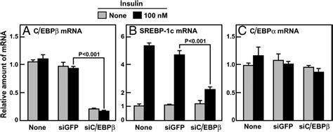 Insulin Induction Of Srebp 1c In Rodent Liver Requires Lxrα Cebpβ