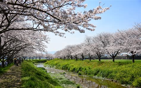 秋月・原鶴温泉などの観光情報｜あさくら観光協会【公式】 Kusabagawa 3 秋月・原鶴温泉などの観光情報｜あさくら観光協会【公式】