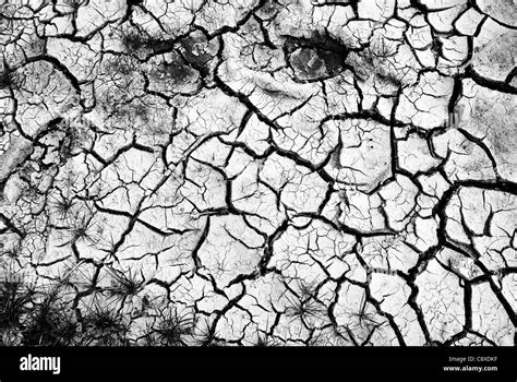 Cracked earth in dry desert Stock Photo - Alamy