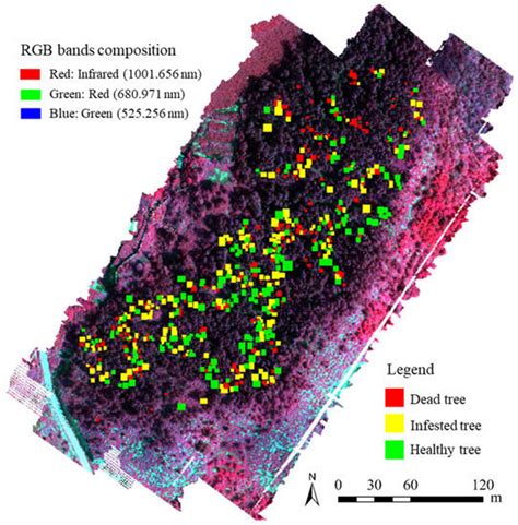 Remote Sensing Special Issue Monitoring Early Warning And Scientific Management Of