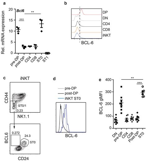 The Transcription Factor Bcl Controls Early Development Of Innate