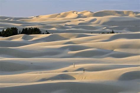 Explore the Majestic Oregon Sand Dunes