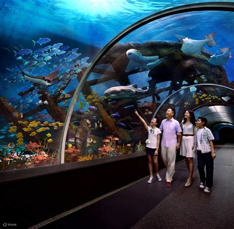 Sea Aquarium Vip Sea Aquarium Resorts World Sentosa