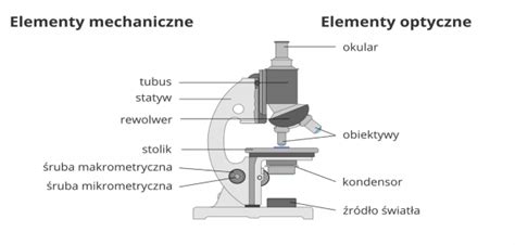 Budowa Mikroskopu Powt Rka Z Biologii