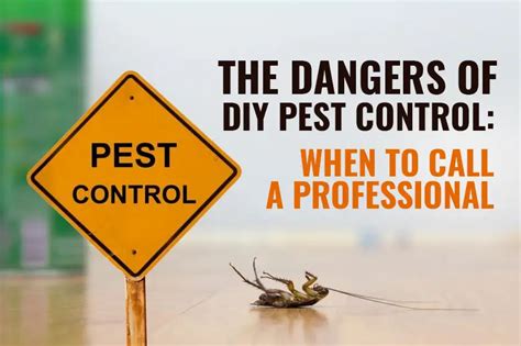 Dangers Of Diy Pest Control When To Call Professional Pest Control