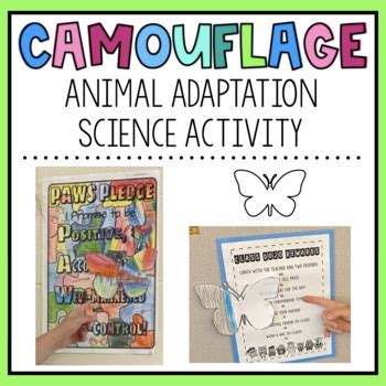 Animal Adaptation Camouflage Butterfly Activity by Passion 4 Primary