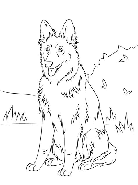 German Shepherd Coloring Pages Best Coloring Pages For Kids