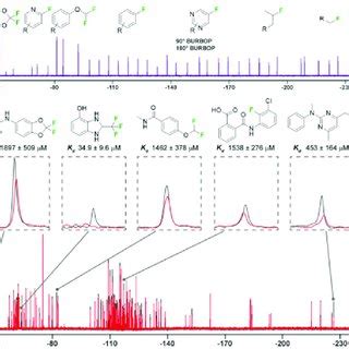 Idealized F Nmr Spectra For Ligand Observed Fragment Screening A