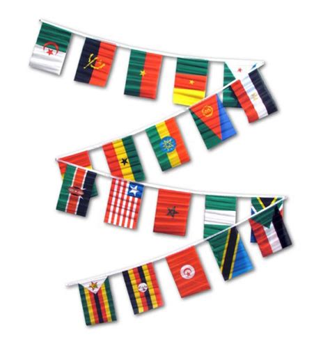 Africa Flag Bunting 20 African Countries Polyester Bunting Custom