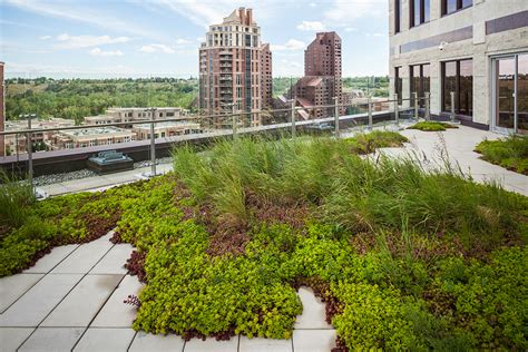 Roofstone Integrated Paver For Green Roofs Liveroof Green Roof Systems