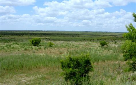 Reserva Natural Otamendi Campana Buenos Aires Argentina ~ Parquesymuseos ~