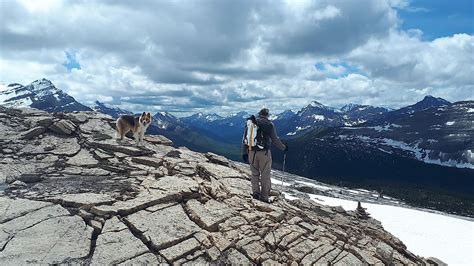 Best Hikes To Do In The Canadian Rocky Mountains - WorldAtlas