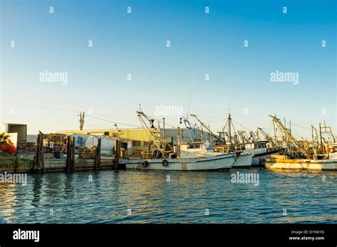 Commercial Fishing Vessel Returning To Port Clearing Catch Of The Day