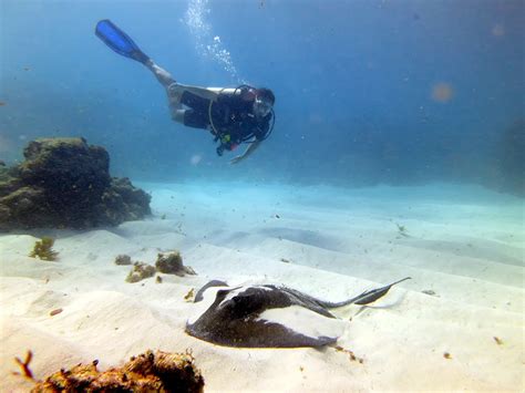 Corn Island: A scuba diving destination. - Paraiso Beach Hotel