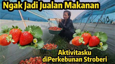 Belum Bisa Jualan Beginilah Aktivitasku Di Pedesaan China Youtube