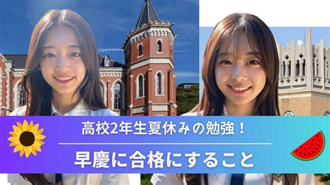 【高校2年】夏休みの勉強時間で差をつける 早慶に合格する勉強法、計画？参考書は？ 【早慶専門対策】個別指導塾ヒロアカ