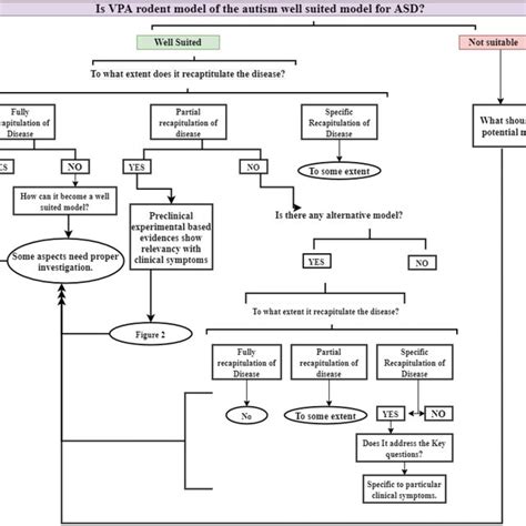 Validation Of Valproic Acid Vpa Induced Rodent Model Of Autism