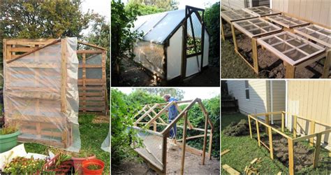 10 DIY Pallet Greenhouse Plans Free (How To Build)