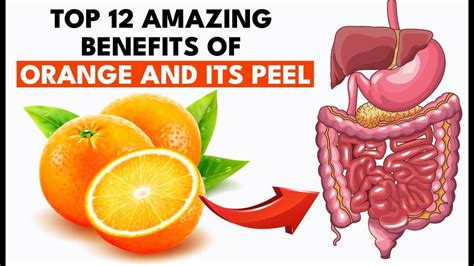 Orange Eat Orange A Day See What Happens To Your Body Benefits