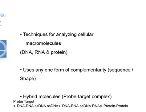 Bt4 Techniques For Analyzing Cellular Macromolecules Dna Rna