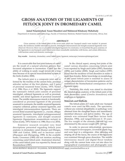 (PDF) Gross anatomy of the ligaments of fetlock joint in dromedary camel