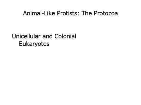 Protista Lab Intro Protist Habitats Are Also Diverse