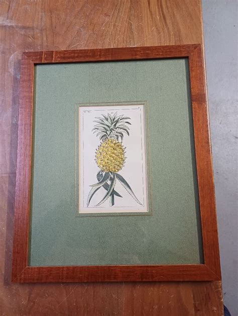 Ancienne Planche De Botanique Ananas Kaufen Auf Ricardo