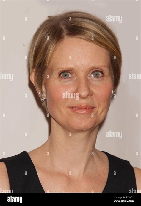 Cynthia Nixon 2015 Photo By John Barrettphotolink Stock Photo Alamy