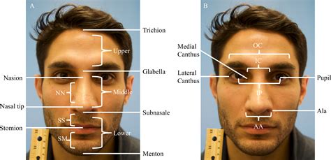 Quantifying Facial Distortion In Modern Digital Photography