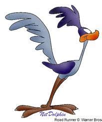 correcaminos | Cartoon clip art, Classic cartoon characters, Road runner