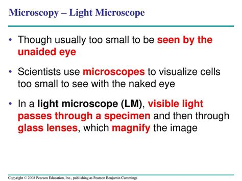 Chapter 6 A Tour Of The Cell Ppt Download