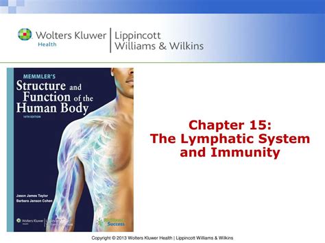 Chapter Lymphatic System And Immunity Learnsmart Pdf Ii Si I Hot Sex Picture