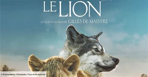 Le Loup Et Le Lion Film Automasites