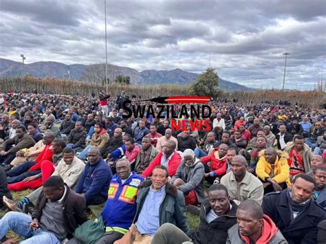 Swazi News On Twitter Close To 10000 Attend Sibaya King Mswati To