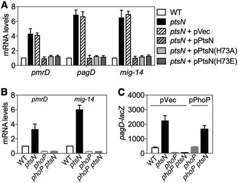 Eiia Ntr Reduces Phop Regulated Gene Expression In A Phop Dependent