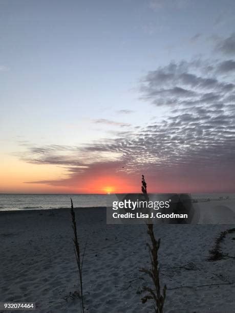 239 Sanibel Island Sunset Stock Photos, High-Res Pictures, and Images ...