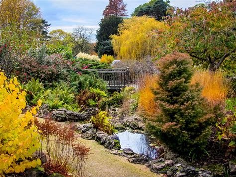 Golders Hill Park Bridge Hill Park Beautiful Gardens Garden Planning