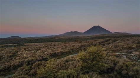 New Zealand's North Island: 5 unique experiences | Intrepid Travel Blog