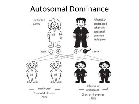 Ppt Autosomal Dominance Powerpoint Presentation Free Download Id