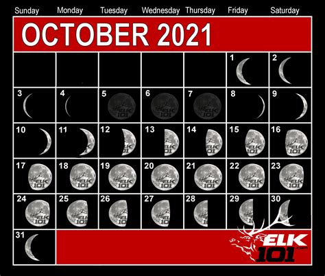 Moon Phase Calendar For Hunting - Ebonee Beverly